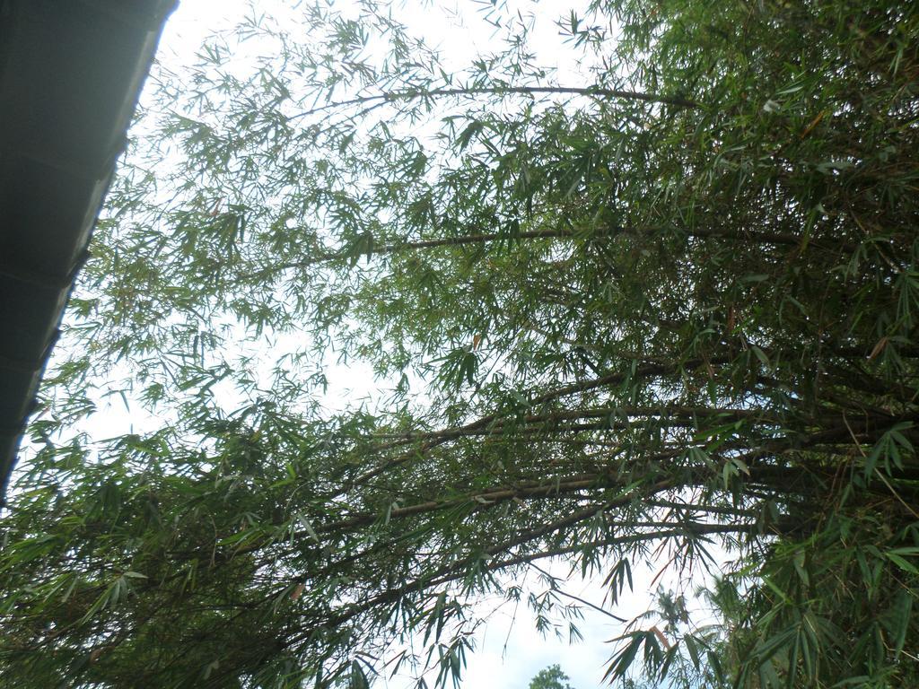 La Villa Unawatuna Dış mekan fotoğraf